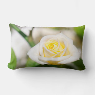 Coussin Rectangle Tea rose