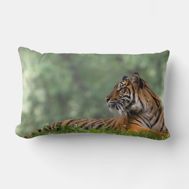 Coussin Rectangle Tigre allongé sous un arbre (Recto)
