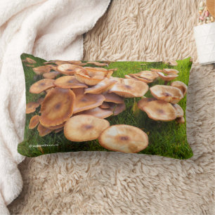 Coussin Rectangle Tombée d'automne des colonies de champignons sur l