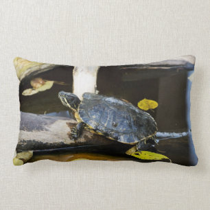 Coussin Rectangle Tortue de glisseur d'étang dans le sauvage