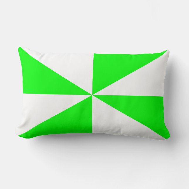 Coussin Rectangle Tourbillon vert citron et blanc (Recto)
