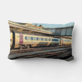 Coussin Rectangle Train marron et beige (Verso)