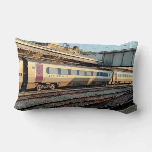 Coussin Rectangle Train marron et beige (Verso)