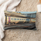 Coussin Rectangle Train marron et beige (Couverture)