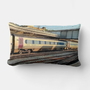 Coussin Rectangle Train marron et beige