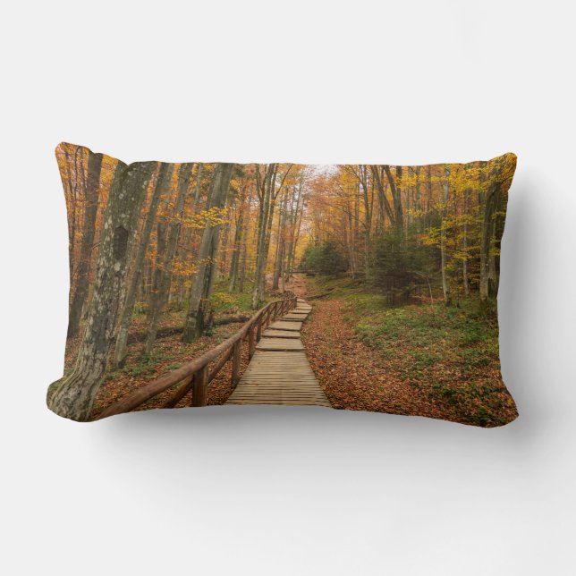 Coussin Rectangle Traverser la forêt d'automne. (Recto)