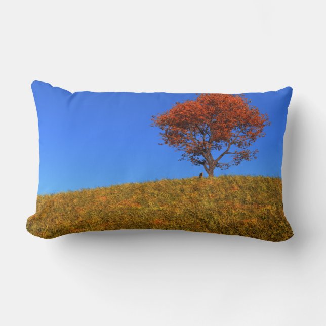 Coussin Rectangle Traversin de jour d'automne clair (Recto)