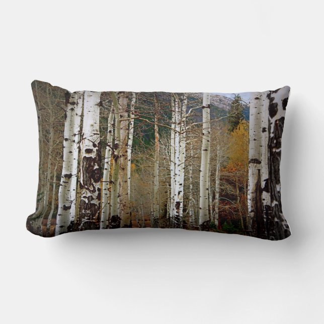 Coussin Rectangle Tremble dans les Rocheuses (Recto)