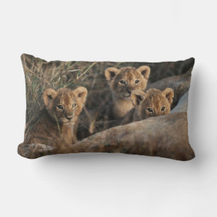 Coussin Rectangle Trio de lionceaux avec leur mère