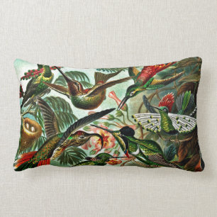 Coussin Rectangle Trochilidae