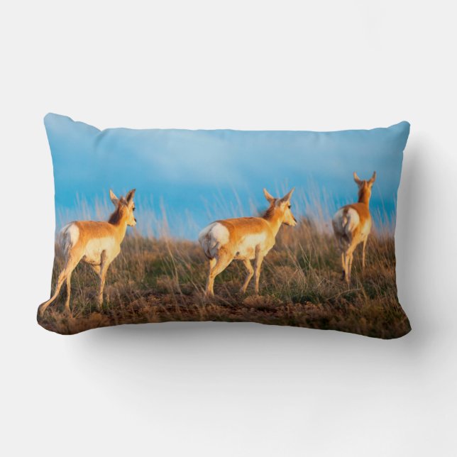 Coussin Rectangle Trois antilopes s'éloignant au coucher du soleil (Recto)