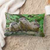 Coussin Rectangle Trois Bébés (Couverture)