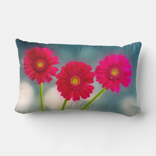 Coussin Rectangle Trois Gerberas roses chaudes dans le Lumbar de ran (Verso)