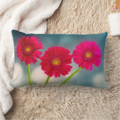 Coussin Rectangle Trois Gerberas roses chaudes dans le Lumbar de ran (Couverture)
