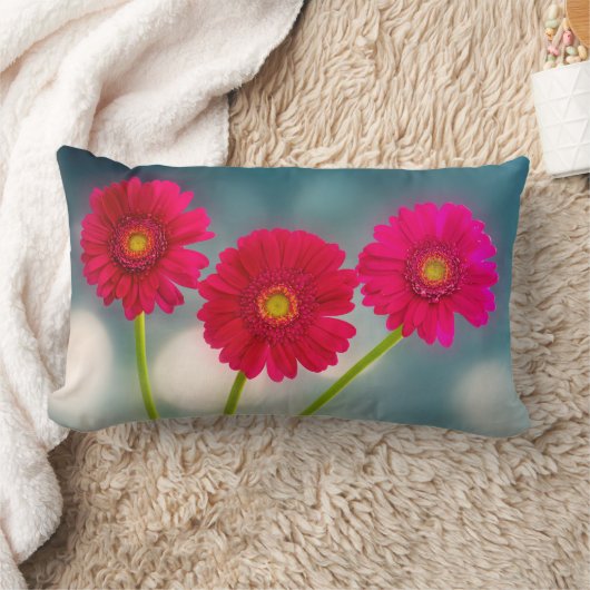 Coussin Rectangle Trois Gerberas roses chaudes dans le Lumbar de ran (Couverture)