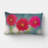 Coussin Rectangle Trois Gerberas roses chaudes dans le Lumbar de ran (Recto)