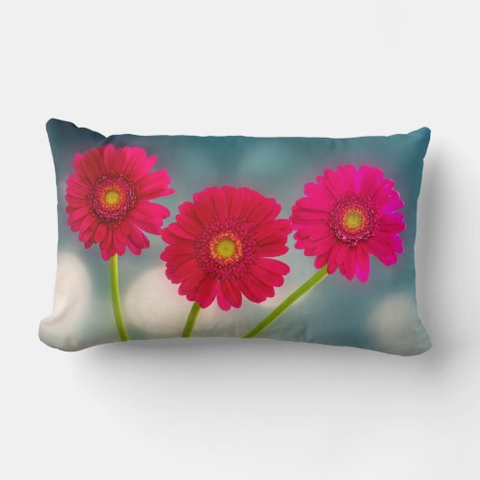 Coussin Rectangle Trois Gerberas roses chaudes dans le Lumbar de ran (Recto)