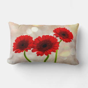 Coussin Rectangle Trois petites Gerberas rouges