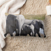 Coussin Rectangle Troupeaux d'éléphant de l'Afrique (Couverture)