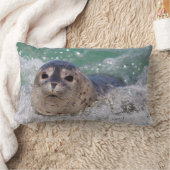 Coussin Rectangle Un bébé phoque surfant (Couverture)