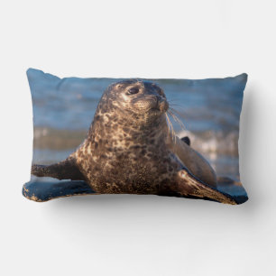 Coussin Rectangle Un bébé phoque venant à terre dans la piscine pour