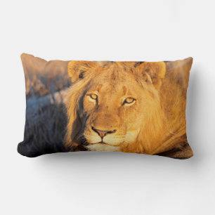 Coussin Rectangle Un lion à crinière rouge regardant l'appareil phot