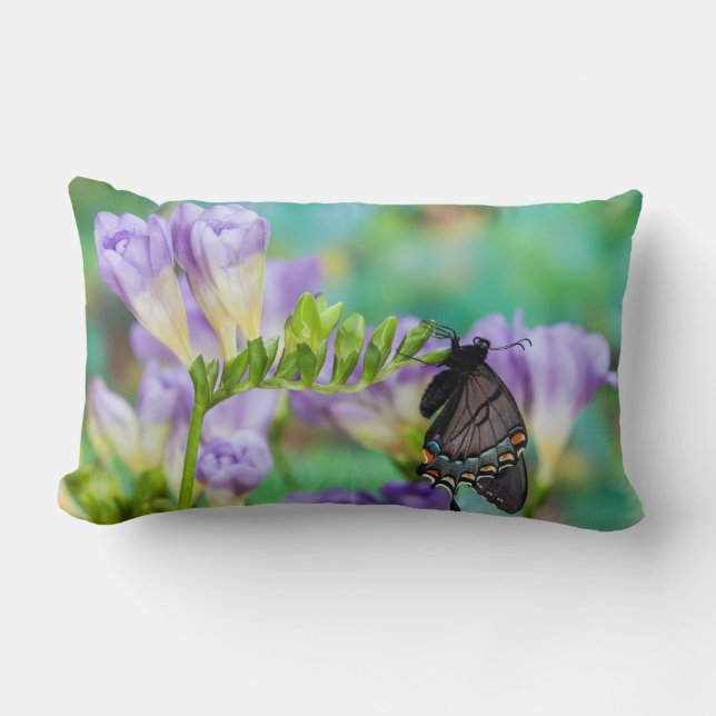 Coussin Rectangle Un papillon monarque | Danaus Plexippus (Recto)