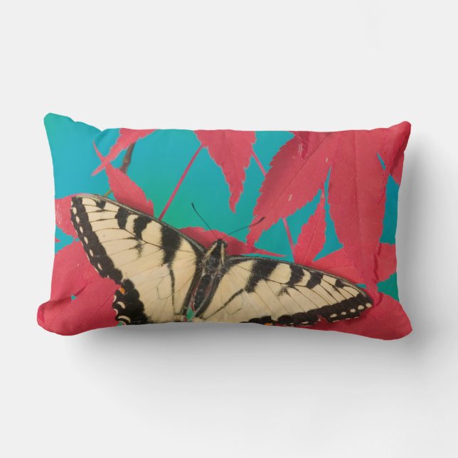 Coussin Rectangle Un papillon swallowtail tigre canadien (Recto)