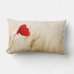Coussin Rectangle Un seul pavot rouge dans un champ de graminées