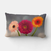 Coussin Rectangle Un trio de Gerberas Lumbar Cushion (Verso)