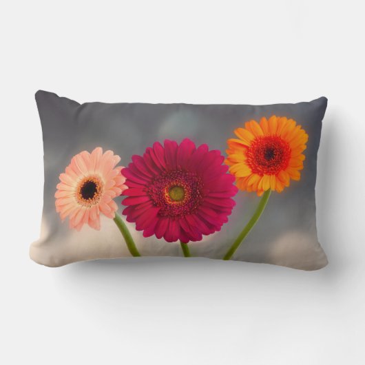 Coussin Rectangle Un trio de Gerberas Lumbar Cushion (Recto)
