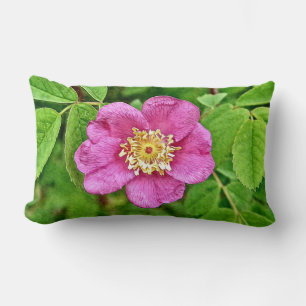 Coussin Rectangle Une Rose Sauvage