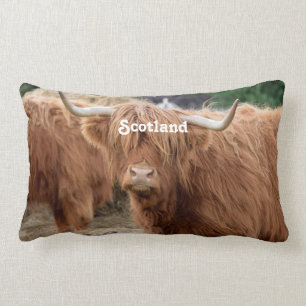 Coussin Rectangle Vache des montagnes