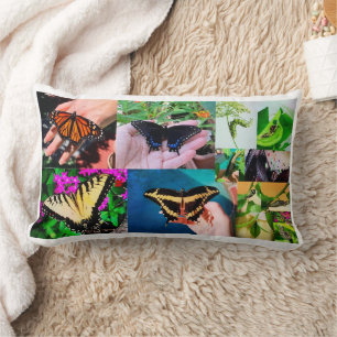 Coussin Rectangle Vie papillon