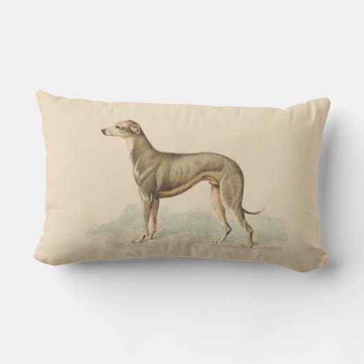 Coussin Rectangle Vintage Greyhound Whippet (Verso)
