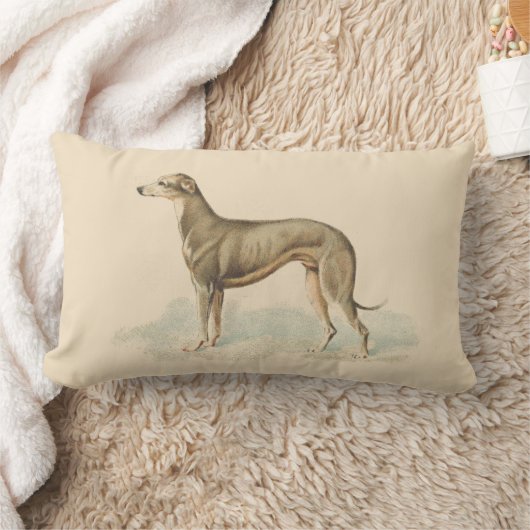 Coussin Rectangle Vintage Greyhound Whippet (Couverture)