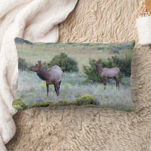 Coussin Rectangle Wapiti d'Amérique Colorado