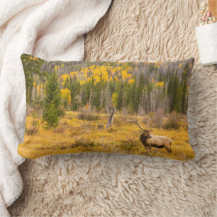 Coussin Rectangle Wapiti mâle Parc national de Rocky Mountain Colo