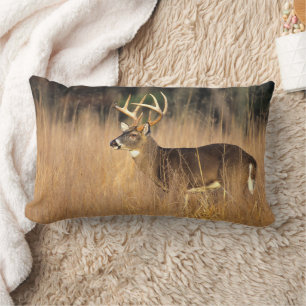 Coussin Rectangle White-tailed Deer   Smoky Mountains Tennessee