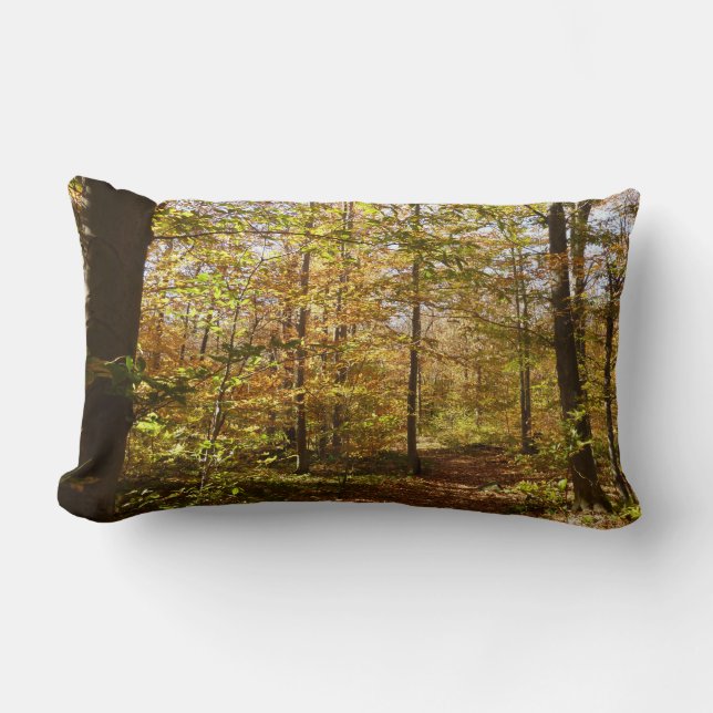 Coussin Rectangle Wolf Rocks Trail en automne Pennsylvanie Paysage (Recto)