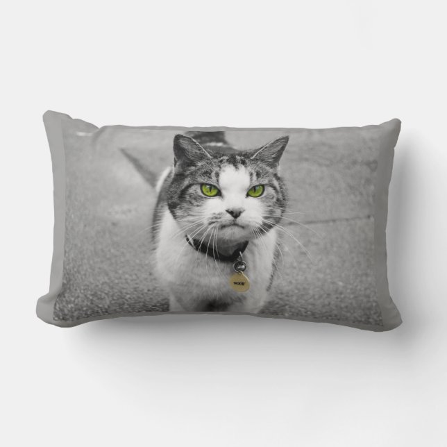 Coussin Rectangle Woof (Recto)