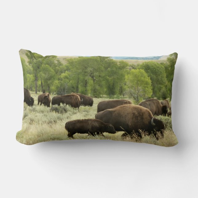 Coussin Rectangle Wyoming Bison Nature Animal Photographie (Recto)