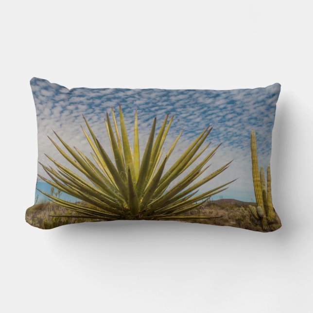 Coussin Rectangle Yucca dans le désert, Mexique (Recto)