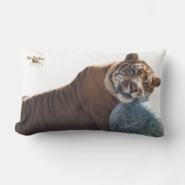 Coussin Rectangle Zachariah a ton dos (Recto)