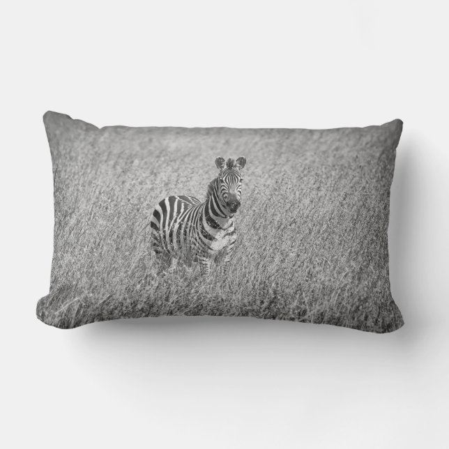 Coussin Rectangle Zebra (Recto)