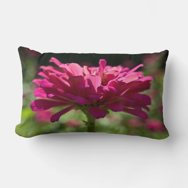 Coussin Rectangle Zinnia joyeux (Recto)