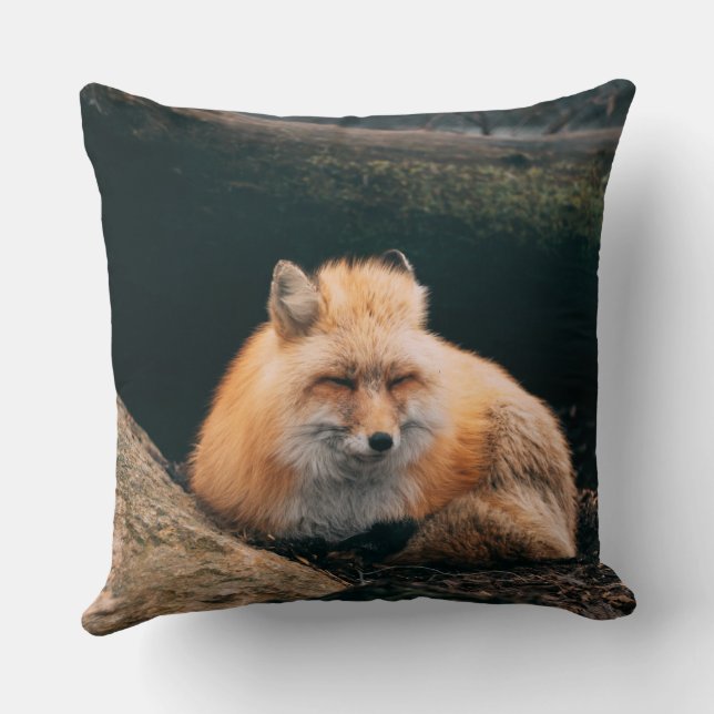 Coussin Red Fox dormant (Verso)