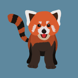 Coussin Red Panda