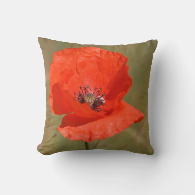 Coussin Red Poppy (Recto)