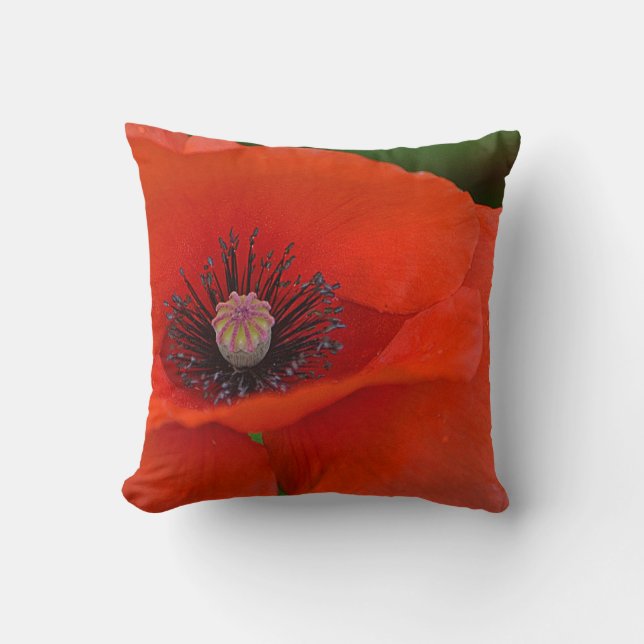 Coussin Red Poppy (Recto)